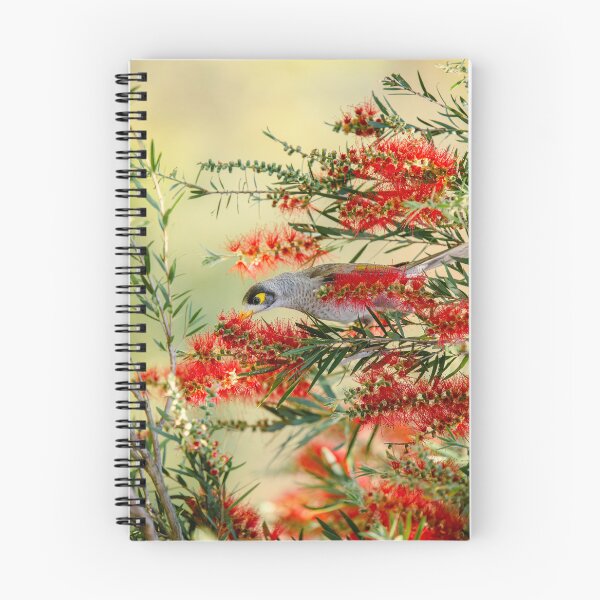 Item preview, Noisy Miner Bird designed and sold by robdanimalphotography.
