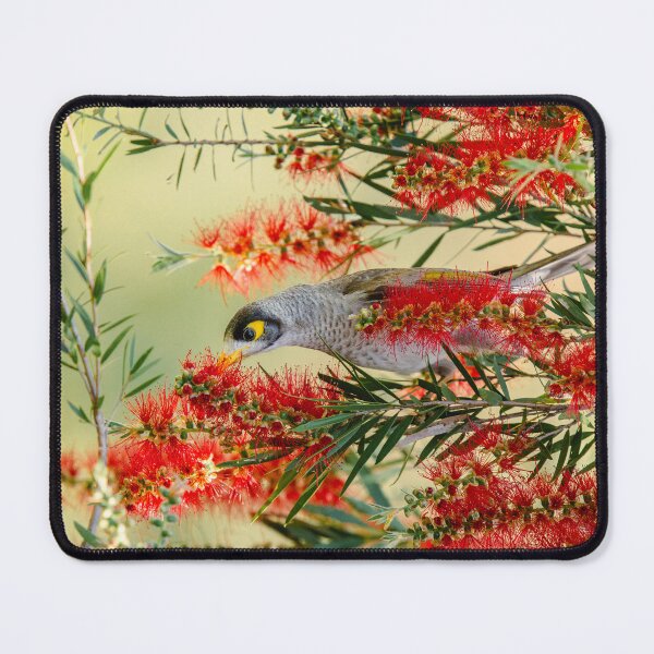 Item preview, Noisy Miner Bird designed and sold by robdwildlife.