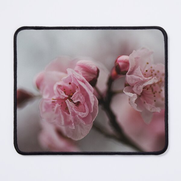 Item preview, Soft As Spring Blossom Pinks designed and sold by Joy Watson - Natural Light Photography .
