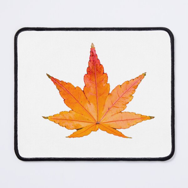 Item preview, autumn Maple tree leaf designed and sold by Taidundua.