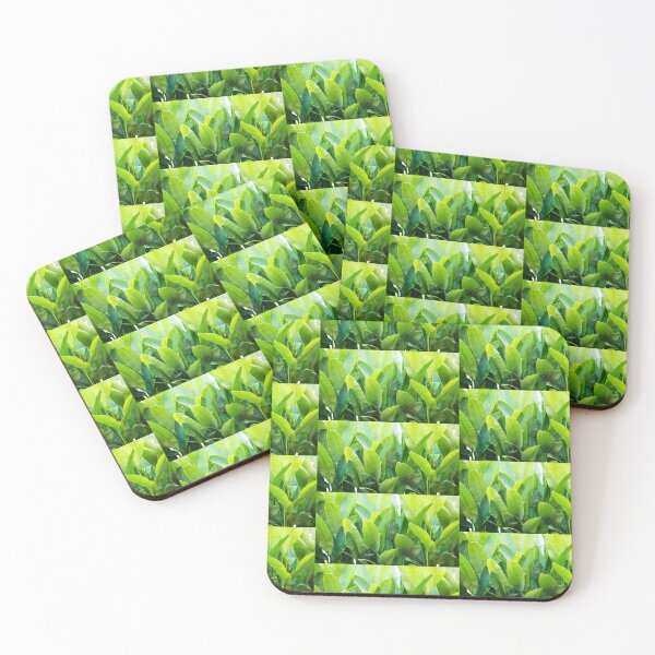 Item preview, Large tropical leaves designed and sold by AIMARADREAM.