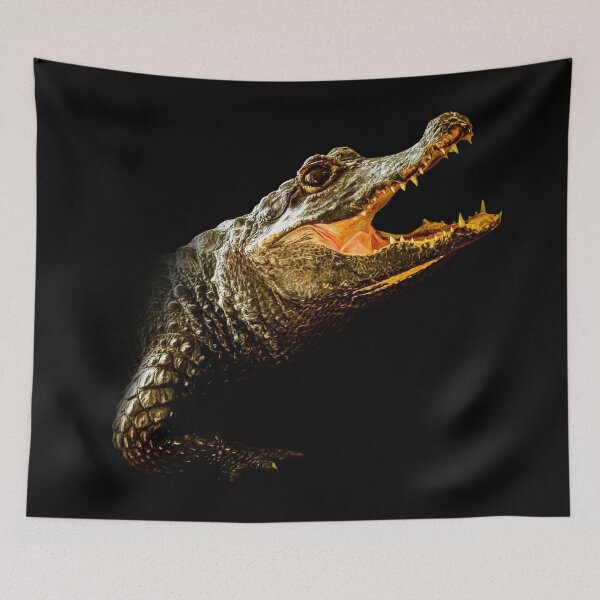 Aperçu de l'œuvre Crocodile créée et vendue par Guardi71.