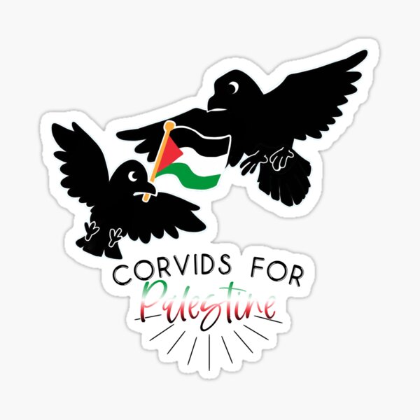 Corvids for Palestine Sticker