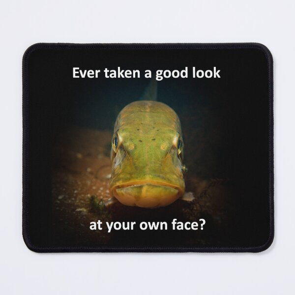 Item preview, Pike frontal portret designed and sold by Tom Sillen.