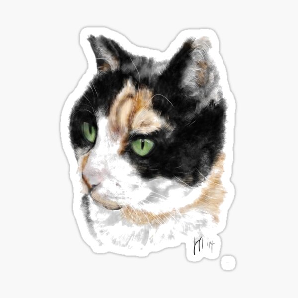Serious Green Eyes Kittie Cat Sticker