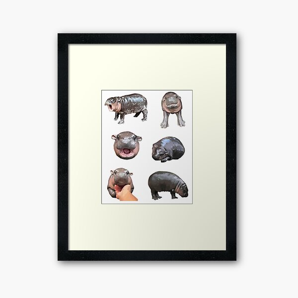 Item preview, Cute Moo Deng Vector Art Bundle, Moo Deng Sticker Pack designed and sold by CreatureHouse95.