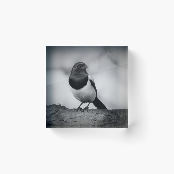 Item preview, CHIAROSCURO 4 designed and sold by NatureWatch10.