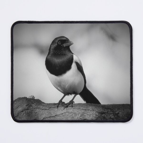 Item preview, CHIAROSCURO 4 designed and sold by NatureWatch10.