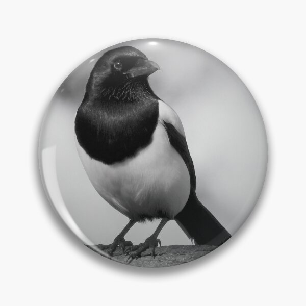 Item preview, CHIAROSCURO 4 designed and sold by NatureWatch10.