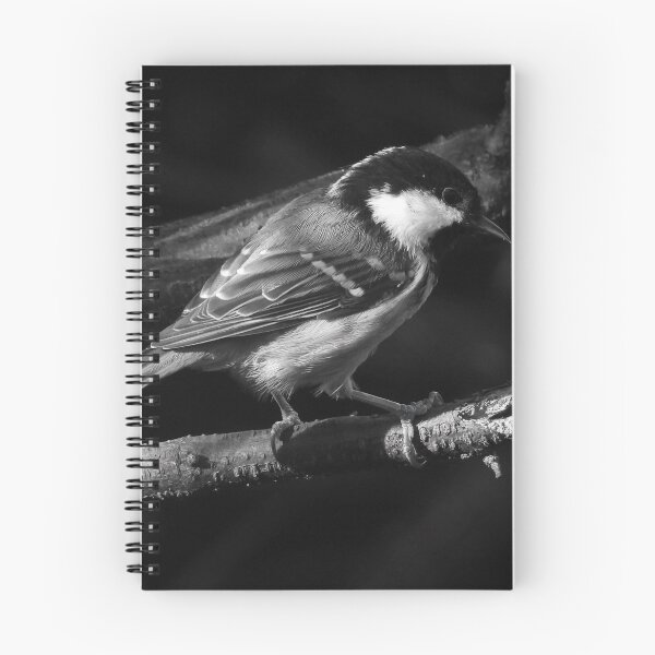 Item preview, CHIAROSCURO 2 designed and sold by NatureWatch10.