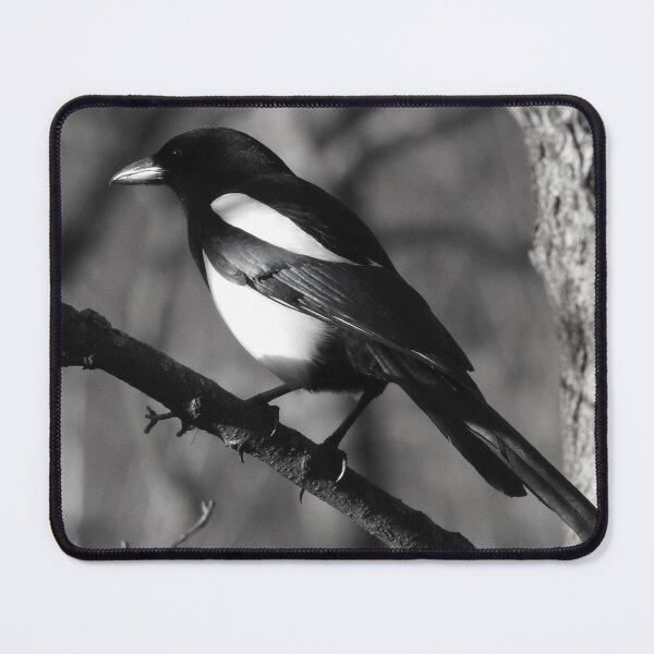 Item preview, CHIAROSCURO 3 designed and sold by NatureWatch10.