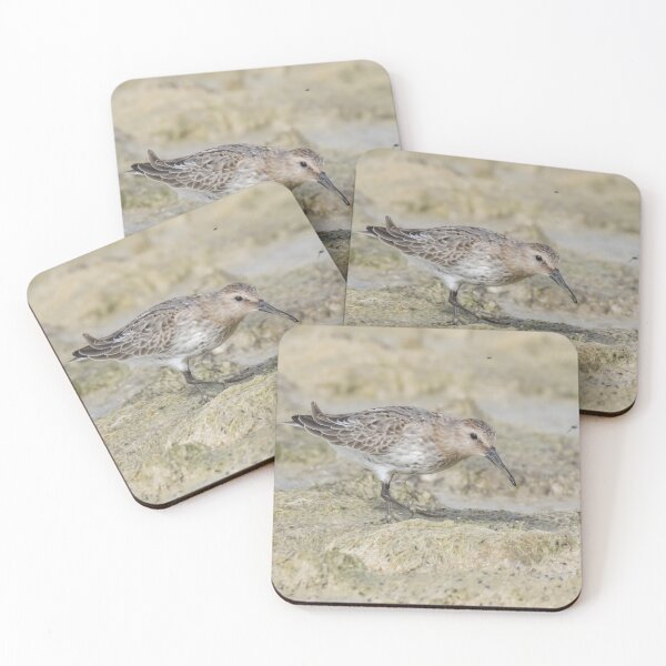 Item preview, Dunlin designed and sold by LaurenTucker.