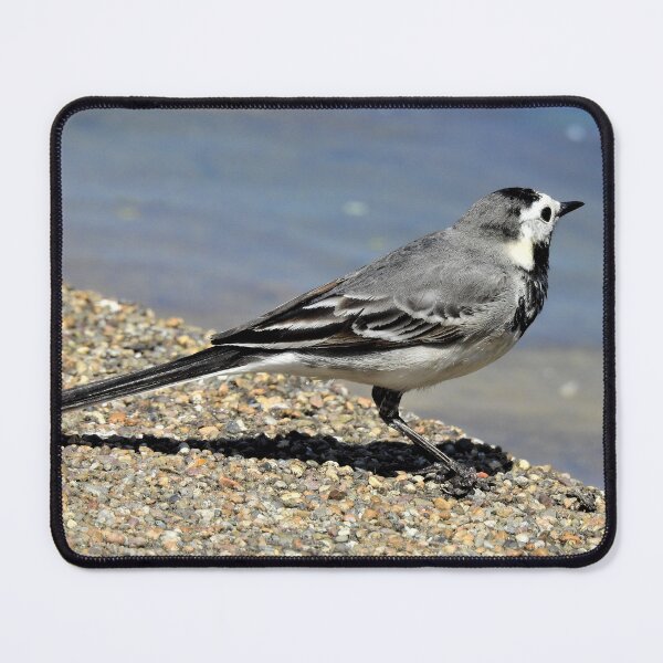 Item preview, ON CLAPTON POND 1 designed and sold by NatureWatch10.