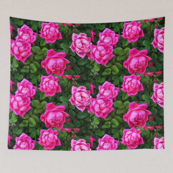 Item preview, Vibrant pink roses designed and sold by InezPhotography.