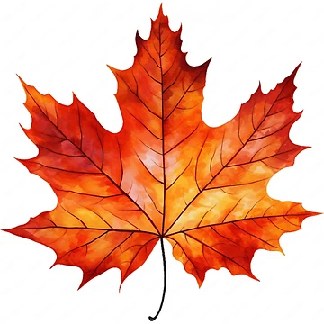 Artwork thumbnail, maple leaf by Open Road Gallery