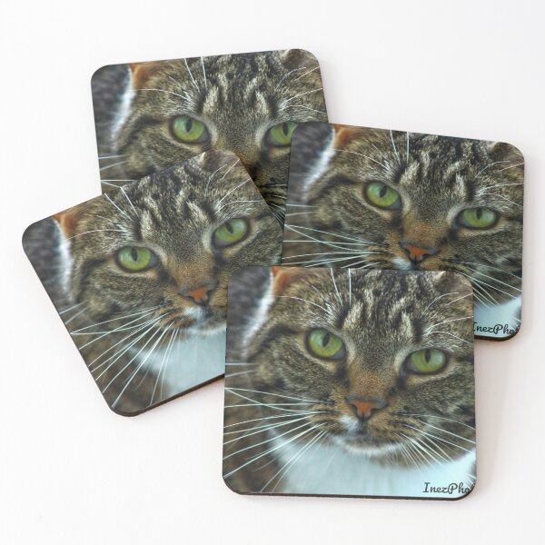 Item preview, close-up of a tabby cat  designed and sold by InezPhotography.