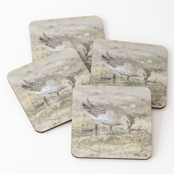 Item preview, Dunlin designed and sold by LaurenTucker.