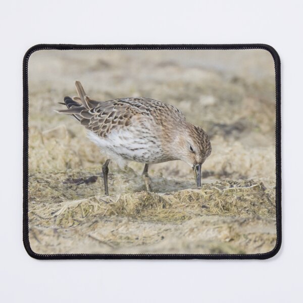 Item preview, Dunlin designed and sold by LaurenTucker.