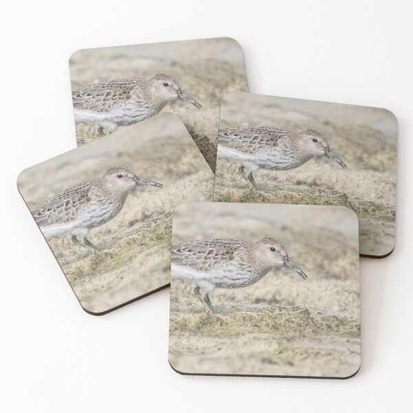 Item preview, Dunlin designed and sold by LaurenTucker.