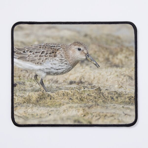 Item preview, Dunlin designed and sold by LaurenTucker.