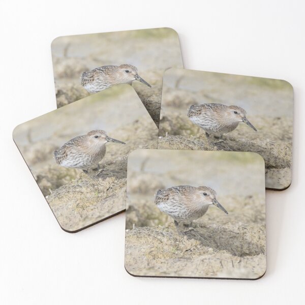 Item preview, Dunlin designed and sold by LaurenTucker.