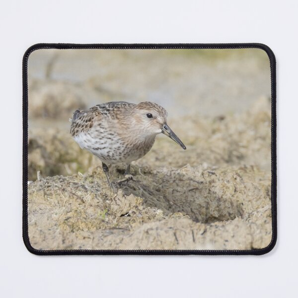 Item preview, Dunlin designed and sold by LaurenTucker.