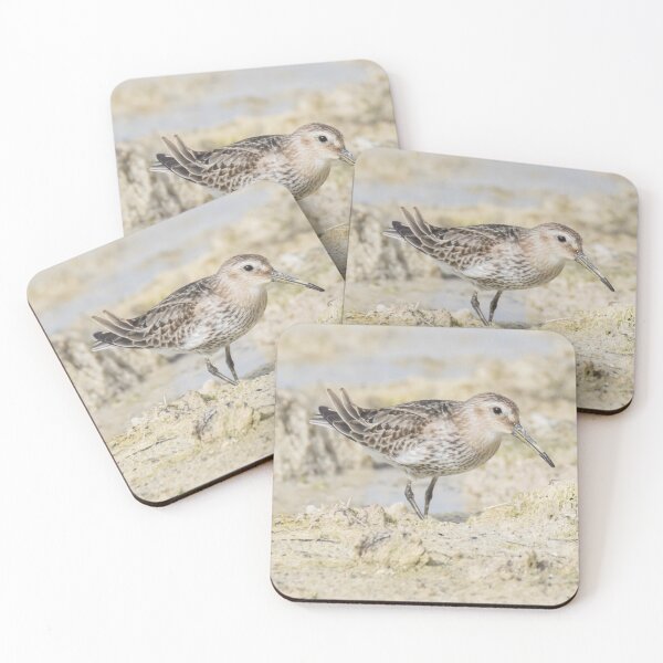 Item preview, Dunlin designed and sold by LaurenTucker.