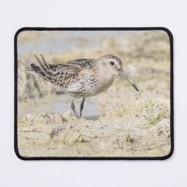 Item preview, Dunlin designed and sold by LaurenTucker.