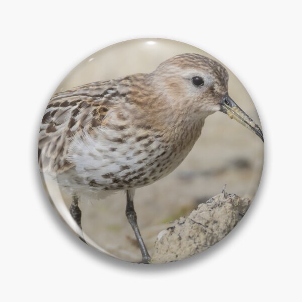 Item preview, Dunlin designed and sold by LaurenTucker.