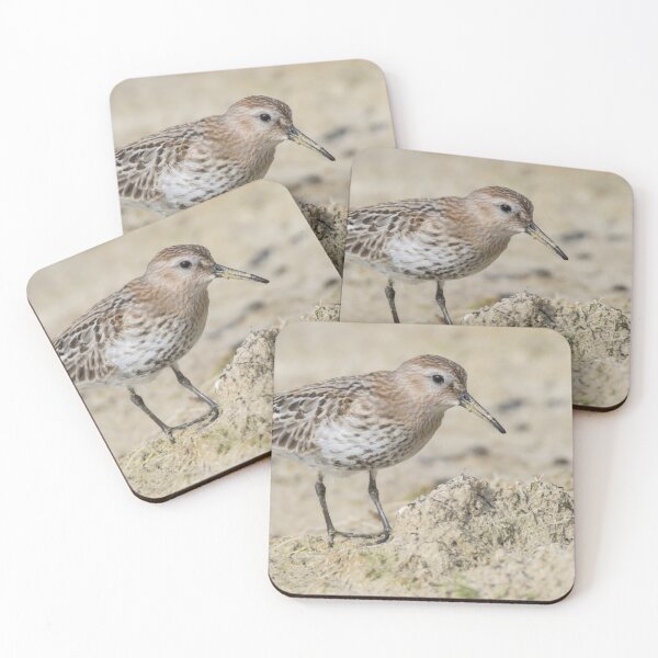 Item preview, Dunlin designed and sold by LaurenTucker.