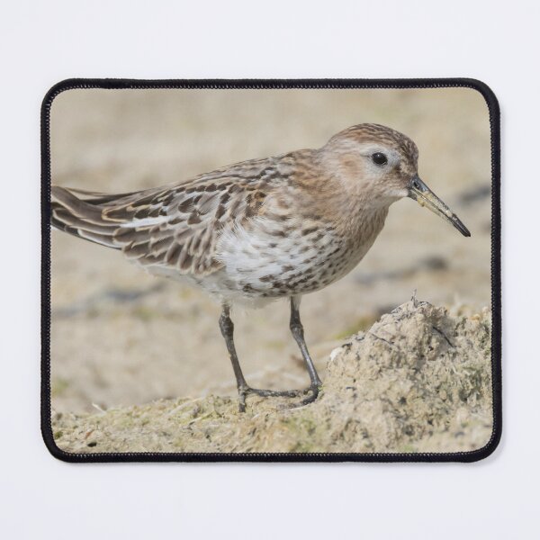 Item preview, Dunlin designed and sold by LaurenTucker.