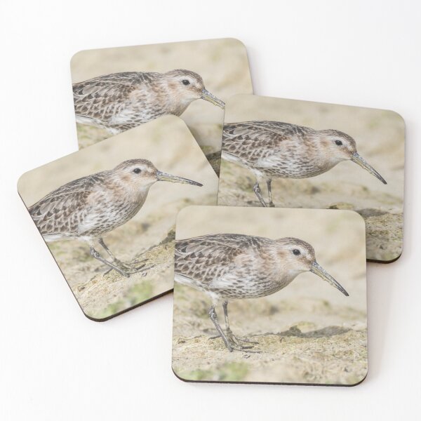 Item preview, Dunlin designed and sold by LaurenTucker.