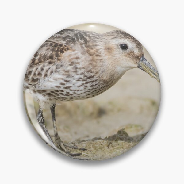 Item preview, Dunlin designed and sold by LaurenTucker.