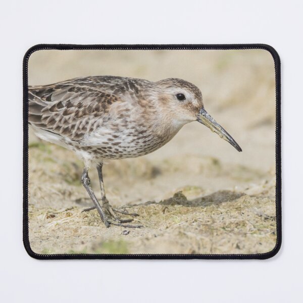Item preview, Dunlin designed and sold by LaurenTucker.
