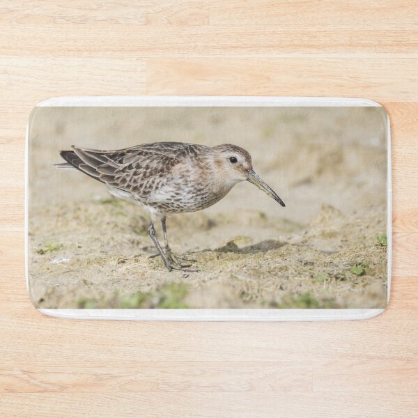 Item preview, Dunlin designed and sold by LaurenTucker.
