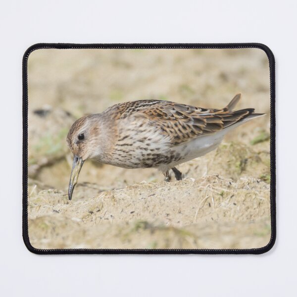 Item preview, Dunlin designed and sold by LaurenTucker.