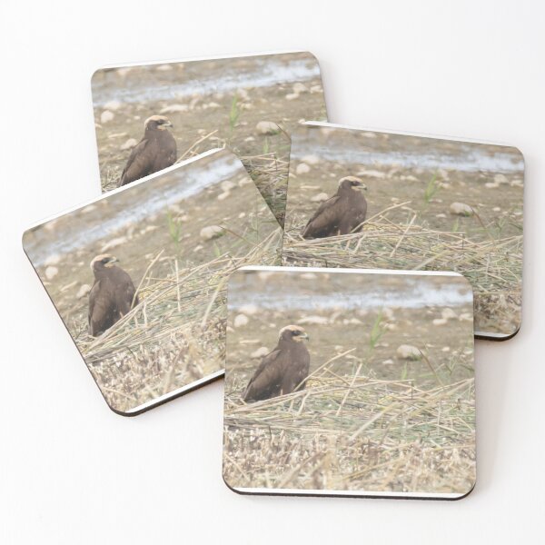 Item preview, Marsh Harrier designed and sold by LaurenTucker.