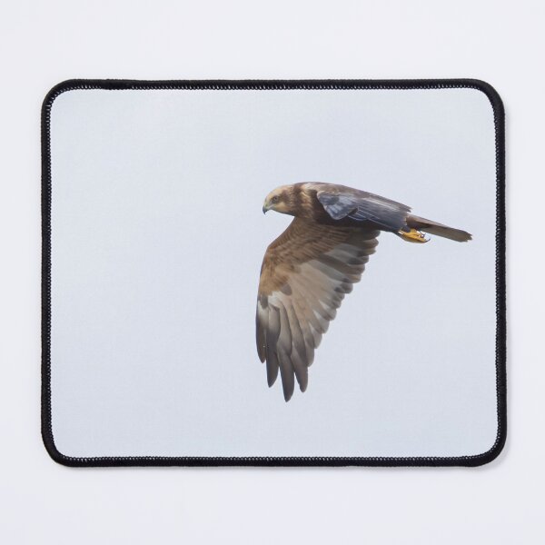 Item preview, Marsh Harrier designed and sold by LaurenTucker.
