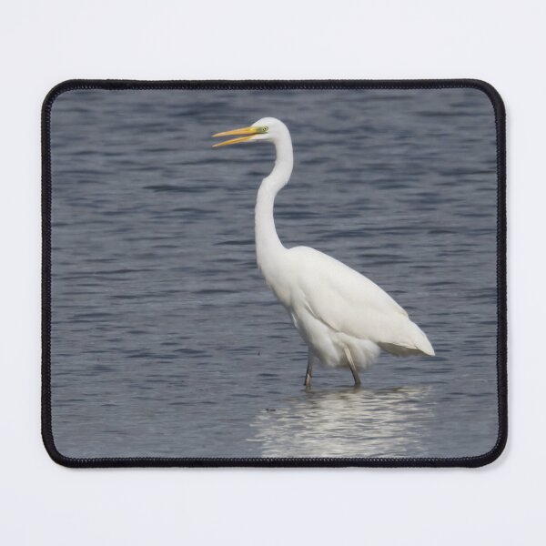 Item preview, Great White Egret designed and sold by LaurenTucker.