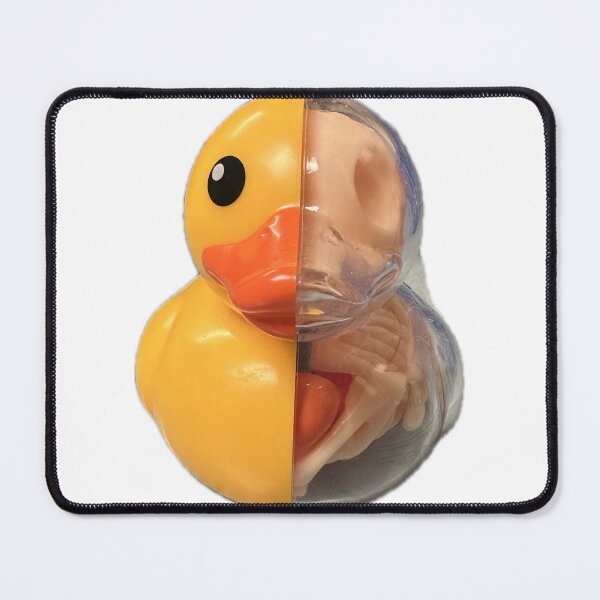 Item preview, Rubber Duck anatomy designed and sold by AnnetteMT22.