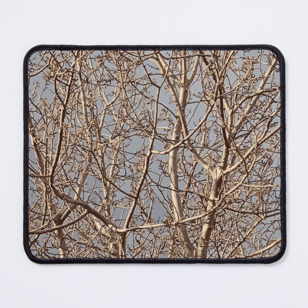 Item preview, Autumn Walnut Tree Branches – Vibrant Garden Scene :) designed and sold by Myriel-Myriel.