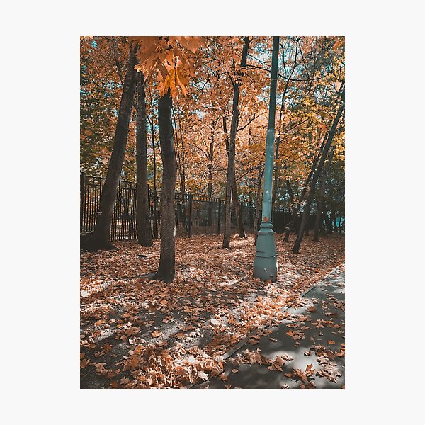 Item preview, Autumn Pathway designed and sold by Nertfel-Art.
