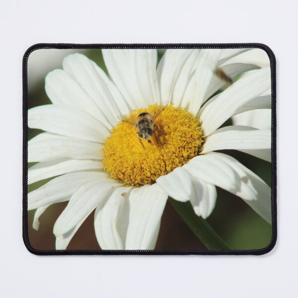 Item preview, Cheerful designed and sold by AmazingAmanda42.