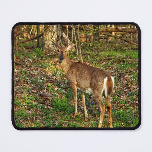 Item preview, deer is standing in a lush green forest designed and sold by InezPhotography.