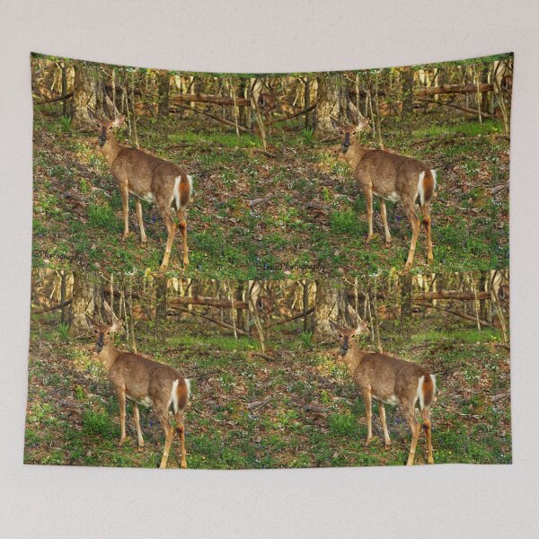 Item preview, deer is standing in a lush green forest designed and sold by InezPhotography.