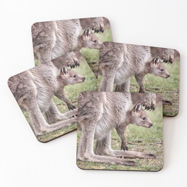 Item preview, Kangaroo with joey in pouch 2 designed and sold by Carolyn's Captures - Original Photohgraphy.