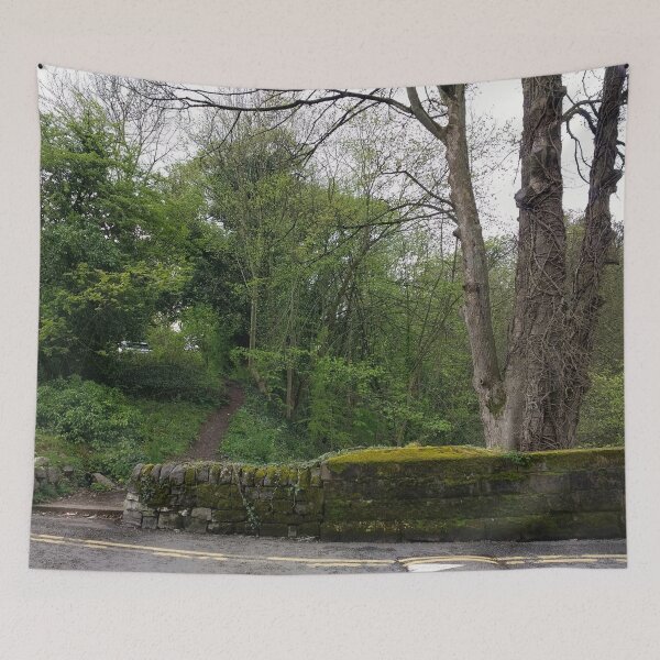 Item preview, #363 |☼| Messy Tree Behind Mossy Wall (Matlock Bath) designed and sold by Naean H.F. (Nez Man).