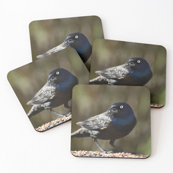 Item preview, A grackle at the feeder designed and sold by Claude Laprise.