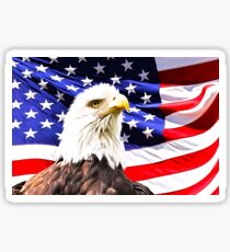 Bald Eagle Sticker