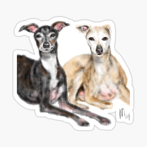 A Pair of Greyhound Best Friends Sticker